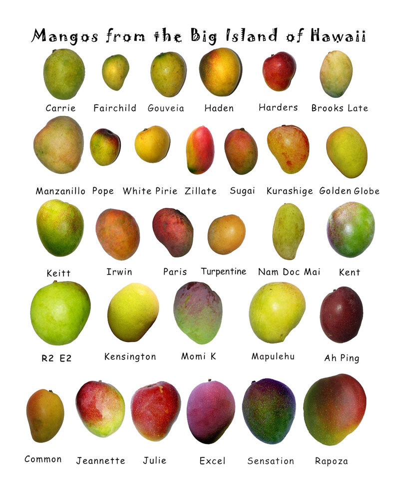 mangoe